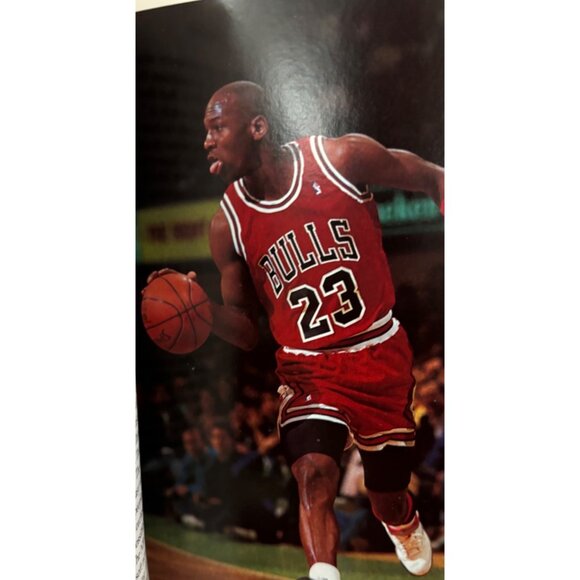 Blood On The Horns: The Long Strange Ride Of Michael Jordans Chicago Bulls - Picture 2 of 12